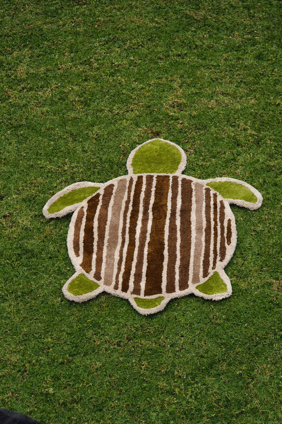 Sea Turtle Kids