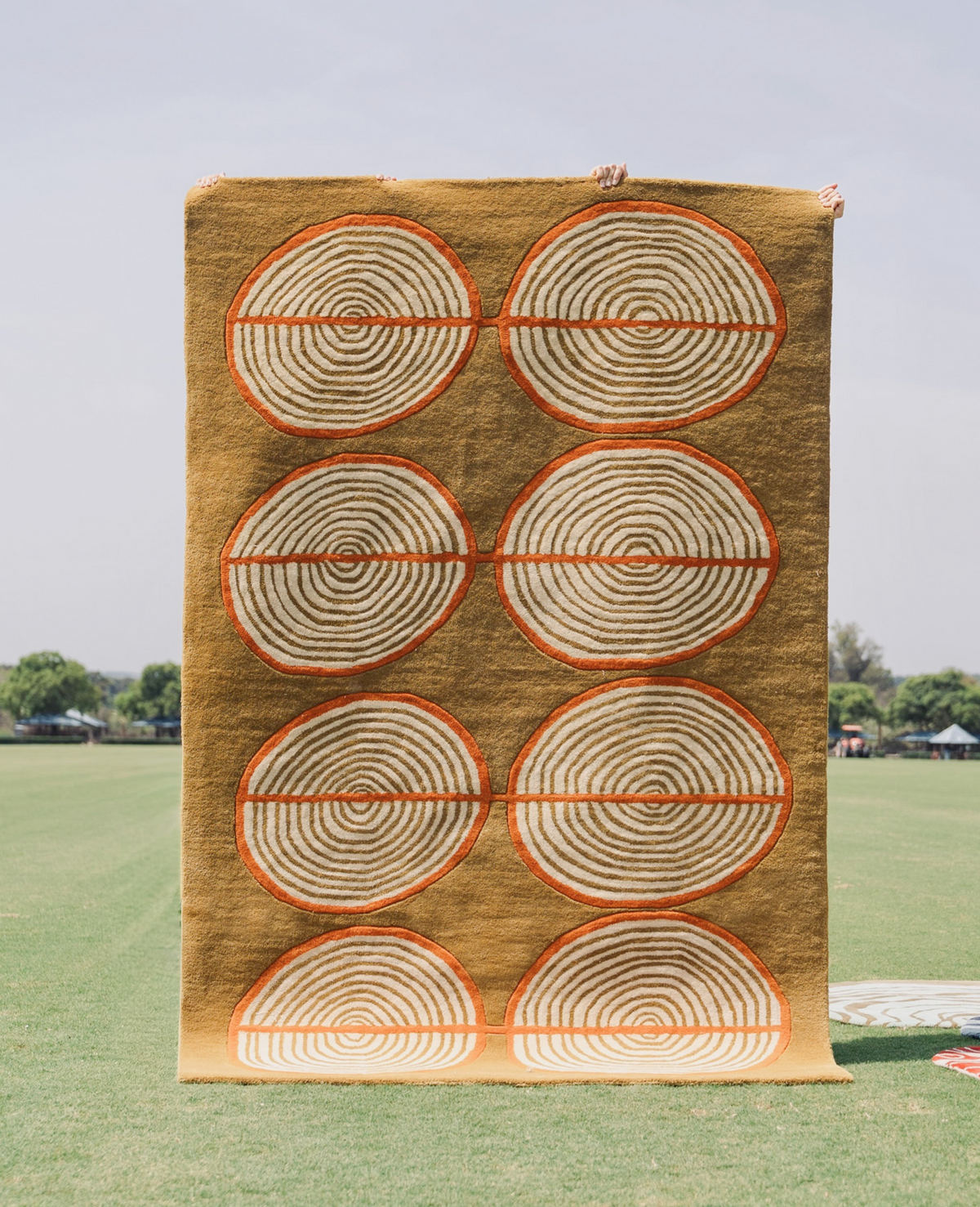 Tree Rings